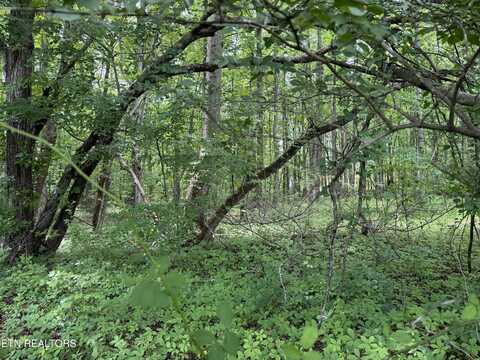 Lollar Drive, Monterey, TN 38574