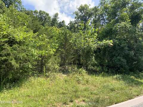 Eagles Ridge, New Tazewell, TN 37825