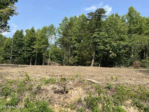 Ditney Trail Tr, Pioneer, TN 37847