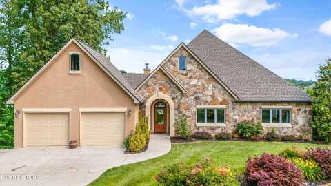 325 Pineberry Drive, Vonore, TN 37885