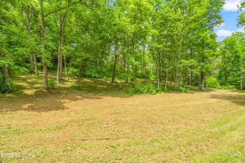 Lot 1 N Slope Lane, Clinton, TN 37716