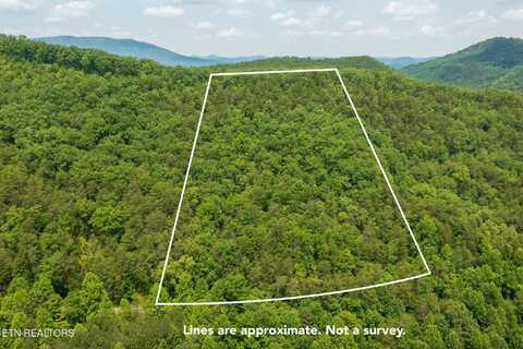 836 Steer Creek Rd, Tellico Plains, TN 37385