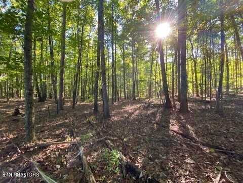 Partridge Tr, Grandview, TN 37337
