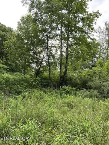 Lot 2r2 Mill Rd, Wartburg, TN 37887