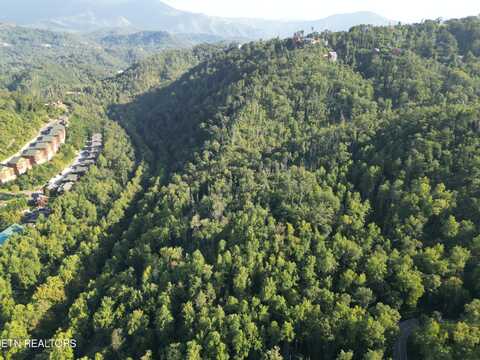 Wiley Oakley Drive, Gatlinburg, TN 37738
