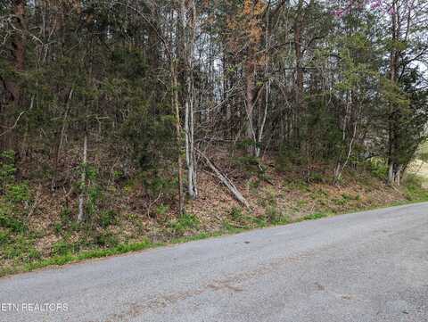 Dorothy Drive, Maynardville, TN 37807