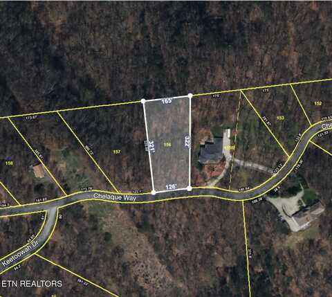 169 Chelaque Way, Mooresburg, TN 37811