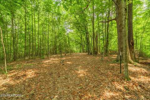 Tract 2 Black Oak Road, Clinton, TN 37716