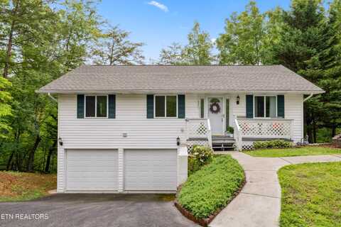 635 Gold Dust Drive, Pigeon Forge, TN 37863
