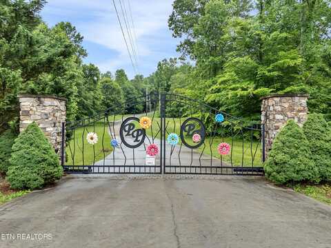 98 Pinnacle Pointe Way, Sharps Chapel, TN 37866