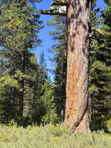 Hwy 62, Fort Klamath, OR 97626