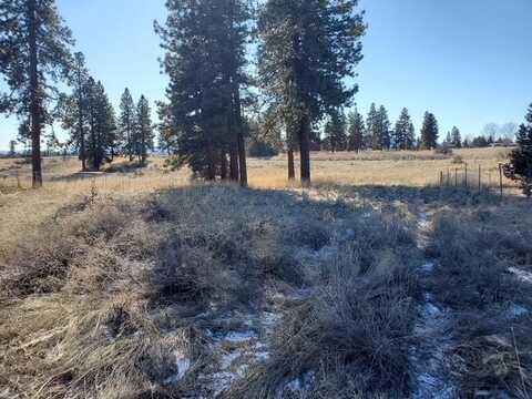 Meadow View Drive, Chiloquin, OR 97624