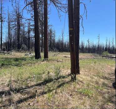 Zebu Lane Block 103 Lot 2 Lane, Bonanza, OR 97623