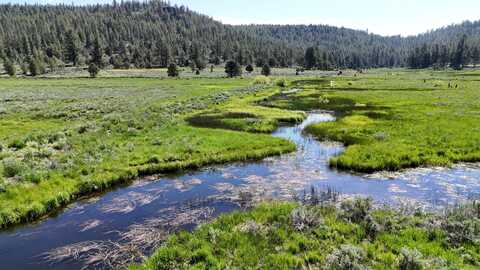12 Mile Post 12 Fish Hole Creek, Bly, OR 97622
