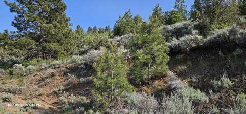 Algoma Road, Klamath Falls, OR 97601