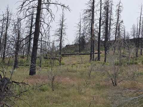 Oregon Pines Road, Sprague River, OR 97639