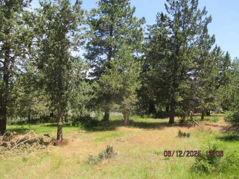 Coopers Hawk Road, Klamath Falls, OR 97601