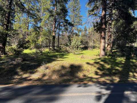 Lot 110 Merganser Road, Klamath Falls, OR 97601