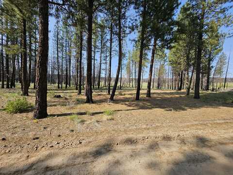 Parazoo Trail, Bly, OR 97622