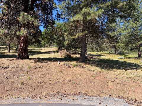 Kestrel Drive, Klamath Falls, OR 97601