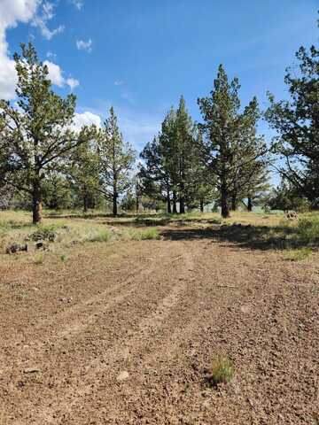 Hummingbird Lane, Alturas, CA 96101