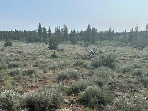 Nagel Ridge Way, Sprague River, OR 97639