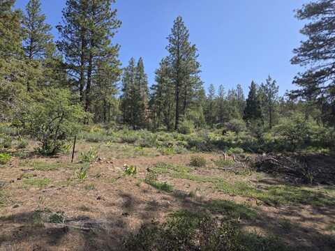 Meadow Lark Drive, Bonanza, OR 97623