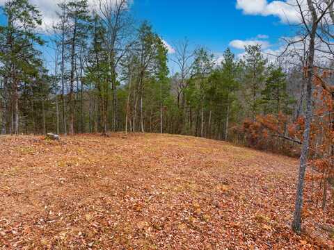 1556 Hollow Springs Rd, Baneberry, TN 37890