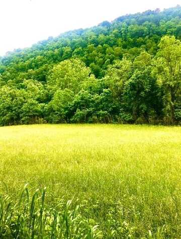 Tbd Hatfield Road, Tazewell, TN 37879