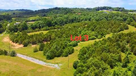 1430 Swannsylvania Road, Dandridge, TN 37725