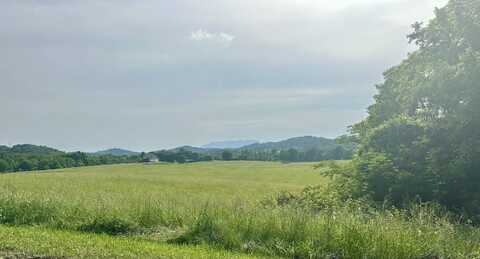Bluff Rd, Parrottsville, TN 37843