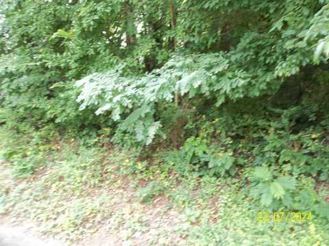 Bays View Road, Kingsport, TN 37660