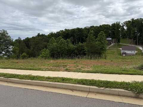 Lot 156 Bridgewater Boulevard, Morristown, TN 37814