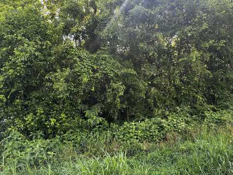 349 Hyatt Lane, Whitesburg, TN 37891