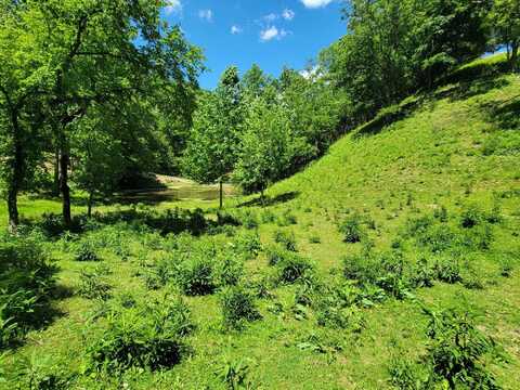 Tract 7 Sandy Valley Road, Rogersville, TN 37857