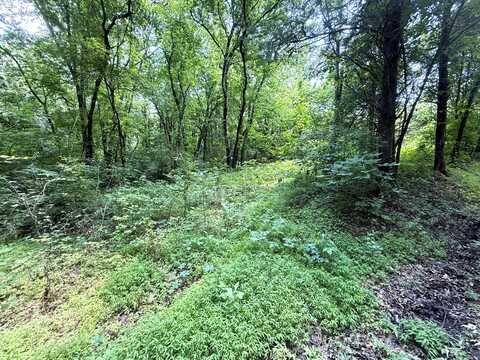 3697 Sane Road, Parrottsville, TN 37843