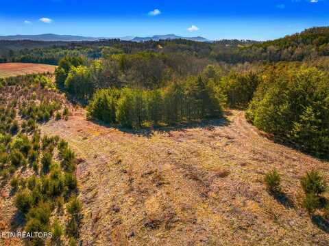 Lot 6 Lonesome Pine Road, Bybee, TN 37713