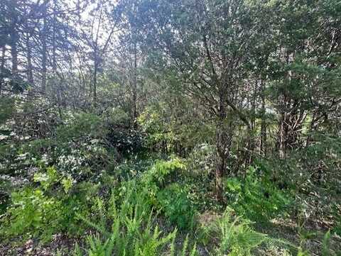 Lot 30 DRIFTWOOD CIRCLE, Sevierville, TN 37876