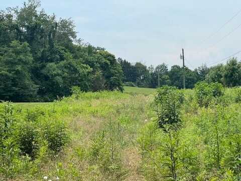 Lot 14r Pleasant View Cemetery Road, New Market, TN 37820