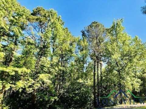 Tbd DEERWOOD PARK, Queen City, TX 75572
