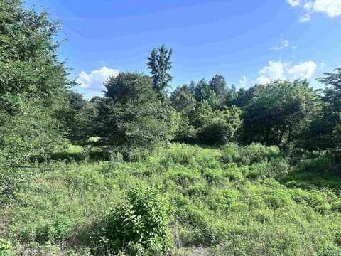 Tbd Cherokee Trace, Gilmer, TX 75644