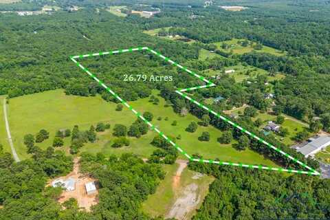 Tbd Tract 2 Maple Springs Road, Hallsville, TX 75650