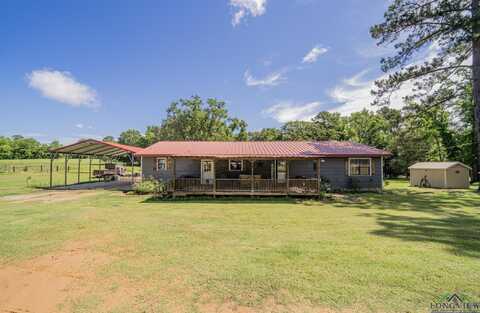 1488 Seahorn Trail, Gilmer, TX 75644