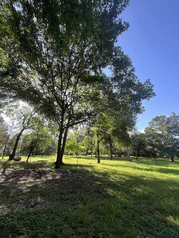 Tbd Bass St., Avinger, TX 75630