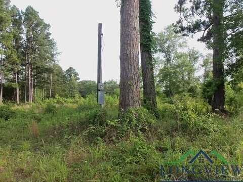 Tbd WHITESIDE LANE, Kilgore, TX 75662