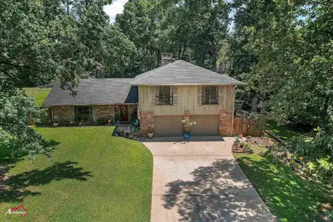 905 Moonbeam Avenue, Center, TX 75935