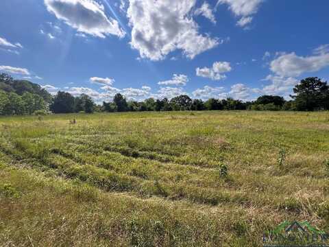 5.417 Ac FM 2276, Kilgore, TX 75662