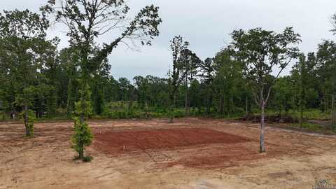 Private Road 1111, Diana, TX 75640