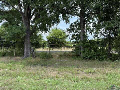 Tbd FM 993, Pittsburg, TX 75686