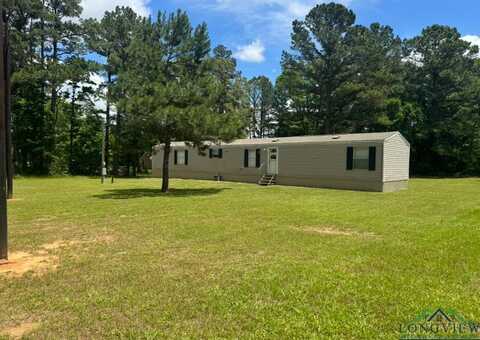 12700 2184 D, Tatum, TX 75691